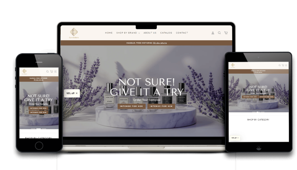 تصميم متاجر شوبى فاى